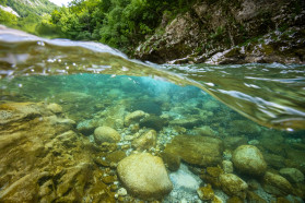 Komarnica underwater: a cold kaleidoscope full of life